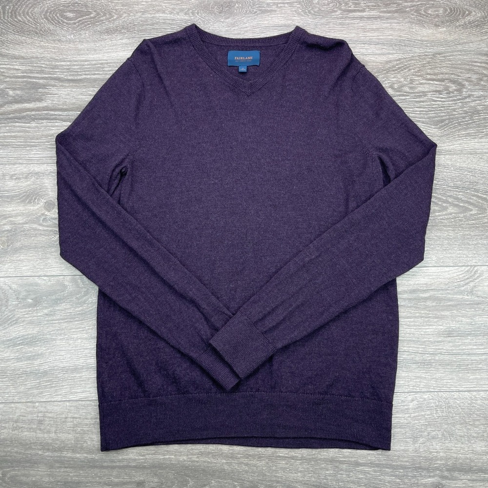 Everlane Sweater Mens Medium Purple Merino Wool V Neck Pullover Casual Preppy